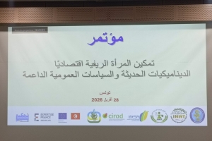 نساء الريف يفرضن أنفسهن: أرقام قياسية&hellip; وتحديات تكشف الحاجة إلى إصلاح عاجل