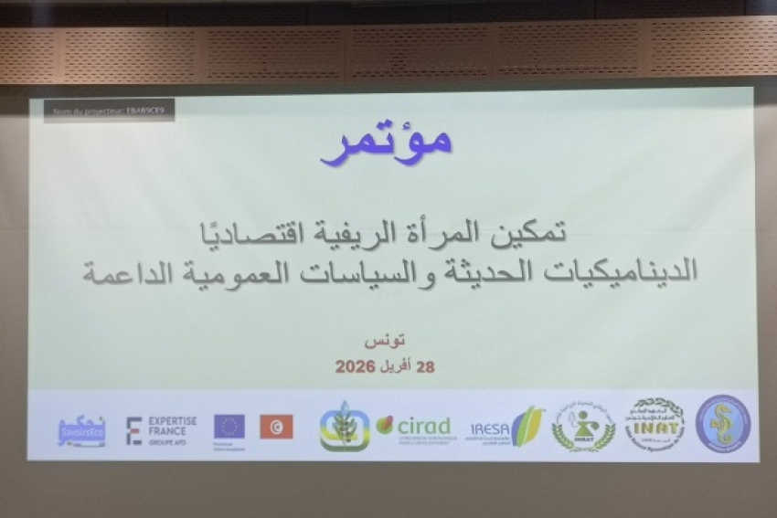 نساء الريف يفرضن أنفسهن: أرقام قياسية… وتحديات تكشف الحاجة إلى إصلاح عاجل