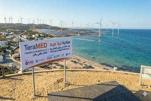 ثورة طاقية في حوض المتوسط: مبادرة "  TeraMED "  نحو مستقبل  أخضر وعادل بحلول 2030